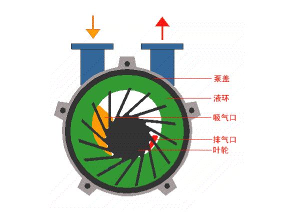 水環式真空泵的工作原理結構圖